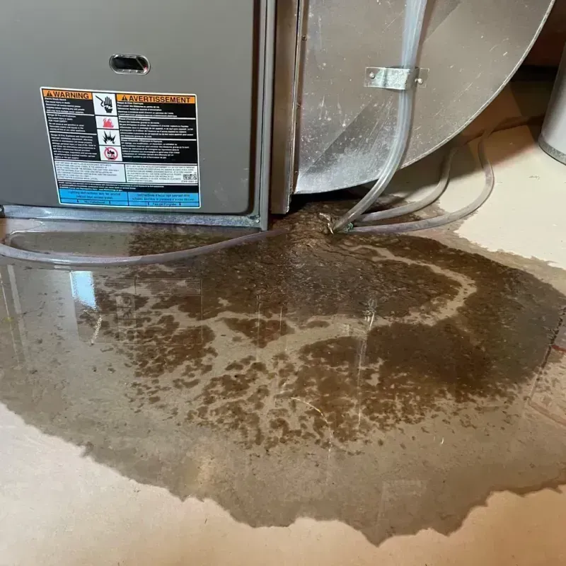 Appliance Leak Cleanup in Prince Edward County, VA